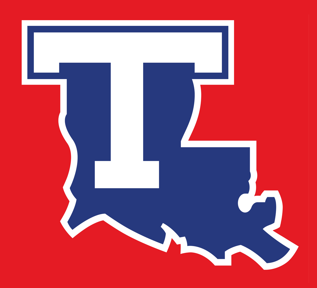 Louisiana Tech Bulldogs 2008-Pres Alternate Logo v2 diy iron on heat transfer